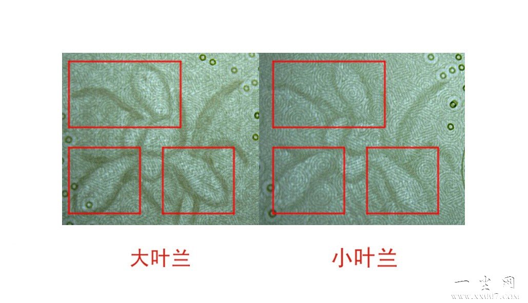 ctrl+鼠标滚轮缩放