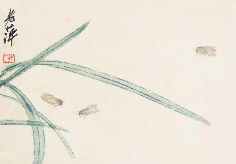 齐白石 草虫册页之三:三蛾图 北京画院藏