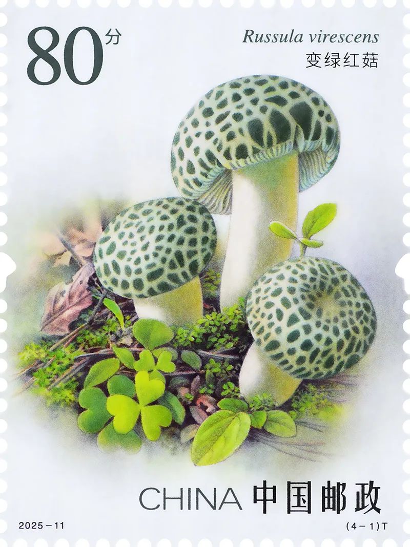 2025-11 4-1T ö.jpg