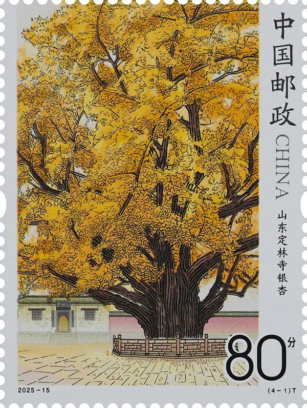 2025-154-1T ö.jpg